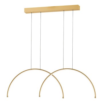 Lampadario LED sospeso su cavo MEGAN LED/39W/230V, finitura oro