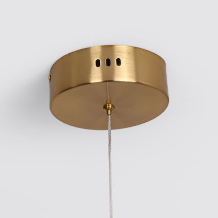 Lampadario LED sospeso su cavo MELECA LED/36W/230V 3000/4000/6000K 160 cm dorato