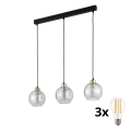 Lampadario LED su cavo DEVI 3xE27/15W/230V nero/trasparente