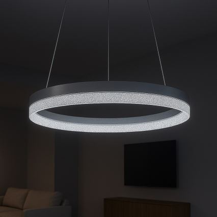 Lampadario LED su cavo GALA LED/25W/230V Ø 50 cm argento