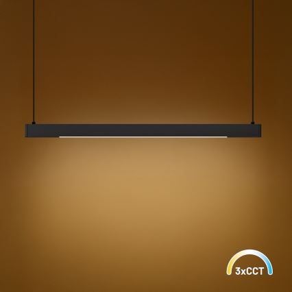 Lampadario LED su cavo LINEA LED/36W/230V 3000/4000/5700K IRC 90 nero