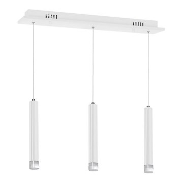 Lampadario LED su filo ALBA 3xLED/15W/230V bianco