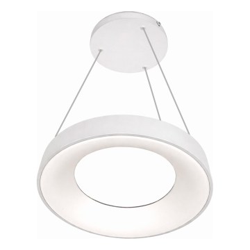 Lampadario sospeso a cavo DRAX LED/32W/230V 4000K Ø 38 cm bianco