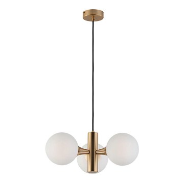 Lampadario sospeso a cavo GLOBE 3xE14/7W/230V dorato