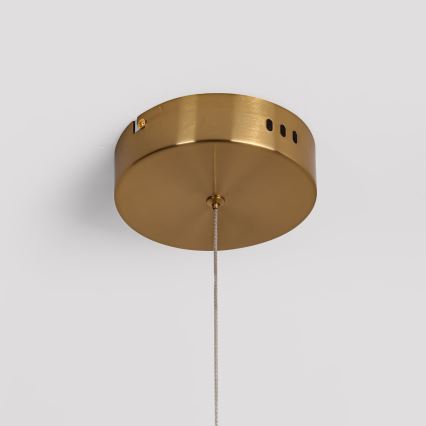Lampadario sospeso su cavo LED MELECA LED/24W/230V 3000/4000/6000K 100 cm dorato