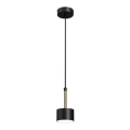 Lampadario su corda ARENA 1xGX53/11W/230V nero/oro