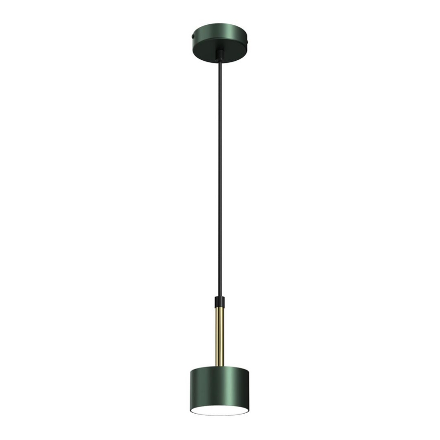 Lampadario su corda ARENA 1xGX53/11W/230V verde/oro