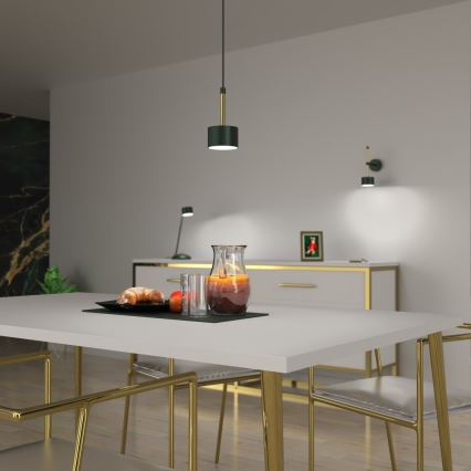 Lampadario su corda ARENA 1xGX53/11W/230V verde/oro