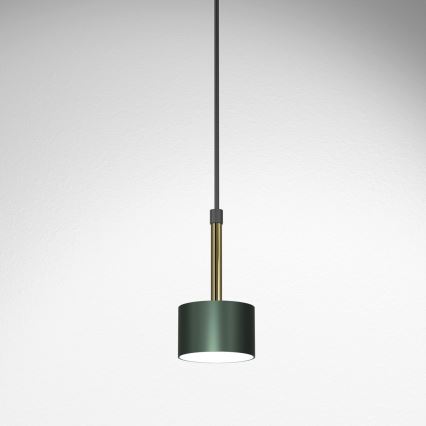 Lampadario su corda ARENA 1xGX53/11W/230V verde/oro