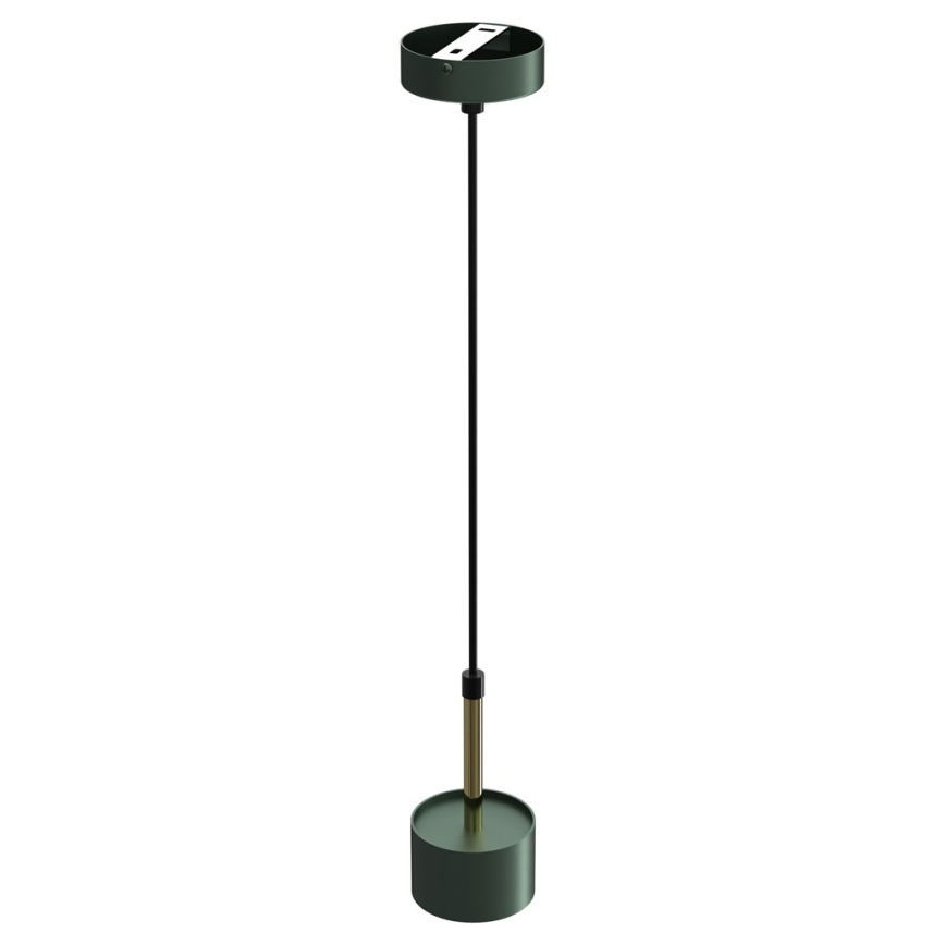 Lampadario su corda ARENA 1xGX53/11W/230V verde/oro