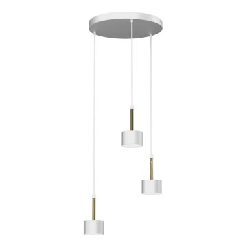 Lampadario su corda ARENA 3xGX53/11W/230V bianco/oro