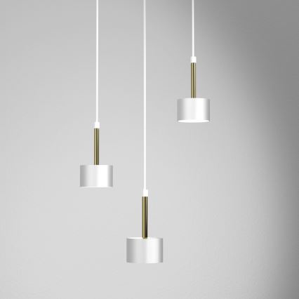 Lampadario su corda ARENA 3xGX53/11W/230V bianco/oro