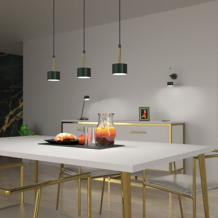 Lampadario su corda ARENA 3xGX53/11W/230V verde/oro