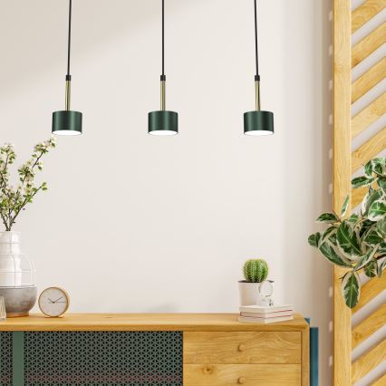 Lampadario su corda ARENA 3xGX53/11W/230V verde/oro