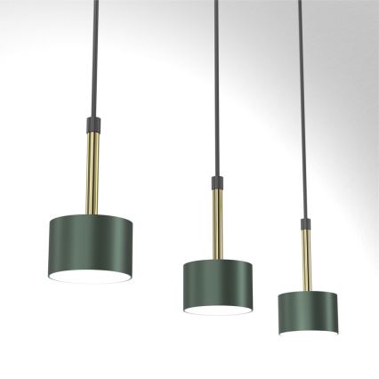 Lampadario su corda ARENA 3xGX53/11W/230V verde/oro