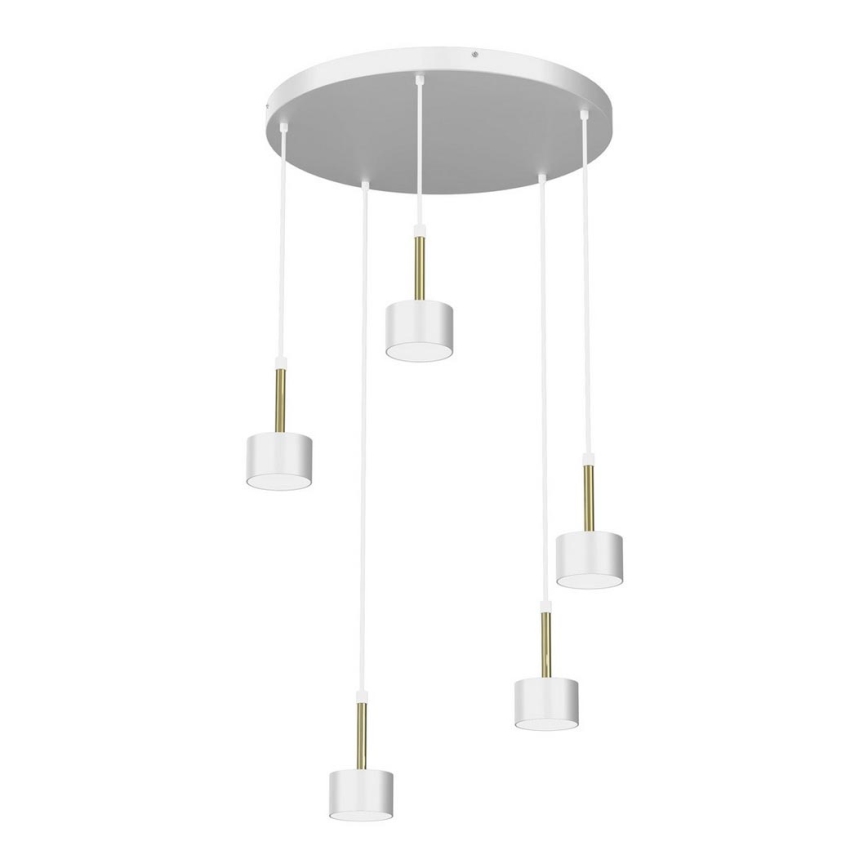 Lampadario su corda ARENA 5xGX53/11W/230V bianco/oro