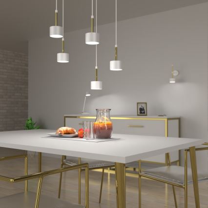 Lampadario su corda ARENA 5xGX53/11W/230V bianco/oro