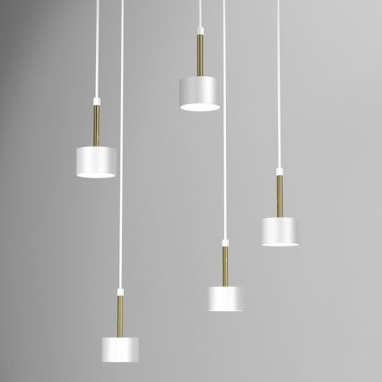 Lampadario su corda ARENA 5xGX53/11W/230V bianco/oro