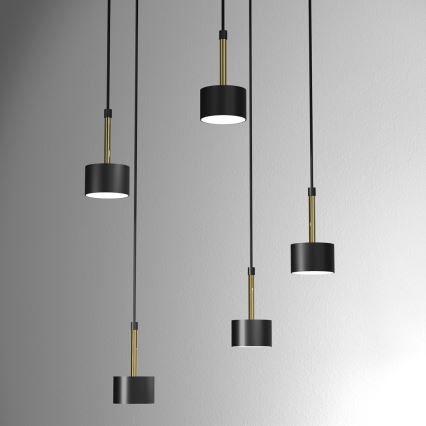 Lampadario su corda ARENA 5xGX53/11W/230V nero/oro