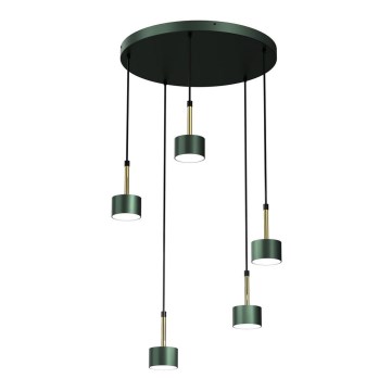 Lampadario su corda ARENA 5xGX53/11W/230V verde/oro