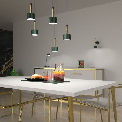 Lampadario su corda ARENA 5xGX53/11W/230V verde/oro