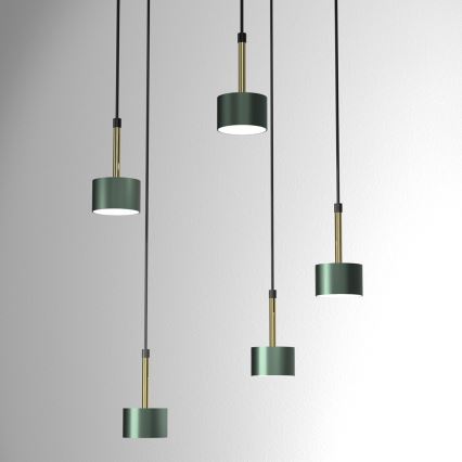 Lampadario su corda ARENA 5xGX53/11W/230V verde/oro