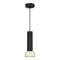 Lampadario su filo  DANTE 1xGU10/25W/230V nero/oro