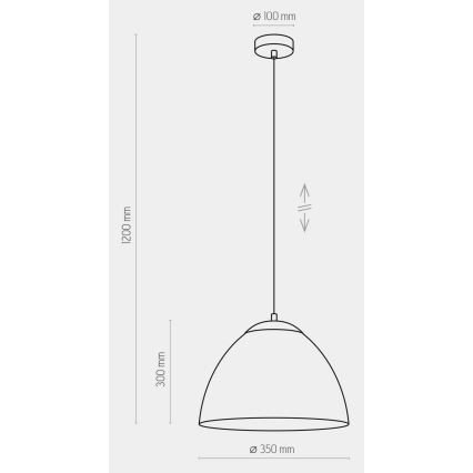 Lampadario su filo FARO 1xE27/60W/230V nero