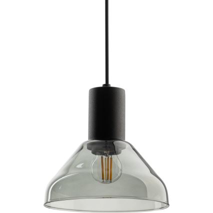 Lampadario a sospensione con filo per sistema ferroviario monofase NEO 1xE27/15W/230V nero/fumé nero