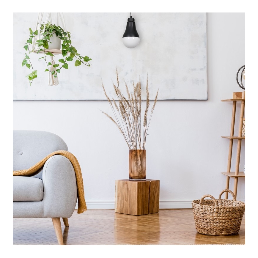 Lampadario su fune HELIOS 1xE14/40W/230V