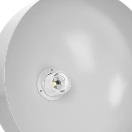 Lampadario su fune MALMO 1xE27/60W/230V