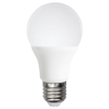 Lampadina LED A60 E27/12W/230V 6500K - Aigostar