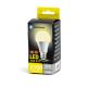 Lampadina LED A60 E27/21W/230V 4000K - Aigostar