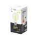 Lampadina LED A60 E27/6W/230V 2700-6500K Wi-Fi - Aigostar