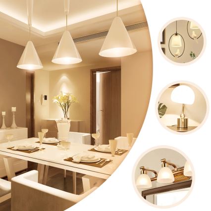 Lampadina LED A60 E27/6W/230V 330° 2700K - Aigostar