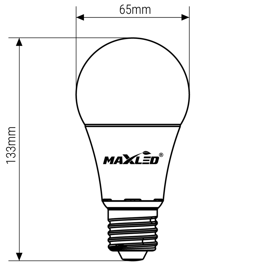 Lampadina LED A70 E27/17W/230V 6500K