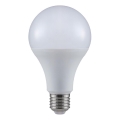 Lampadina LED A80 E27/20W/230V 3000K