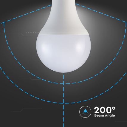 Lampadina LED A80 E27/20W/230V 6500K