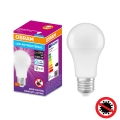 Lampadina LED Antibatterica A100 E27/13W/230V 6500K - Osram