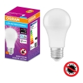 Lampadina LED Antibatterica A75 E27/10W/230V 6500K - Osram