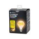 Lampadina LED decorativa D95 E27/1,2W/230V 2500K - Aigostar