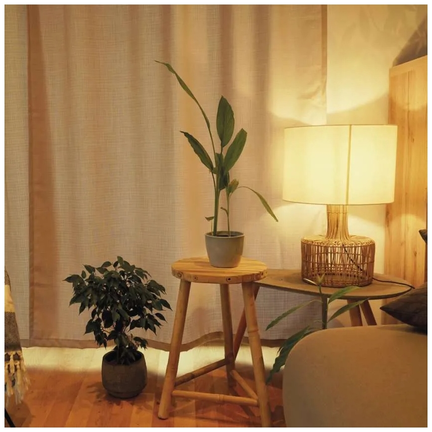 Lampadina LED dimmerabile A60 E27/10,5W/230V 2700K