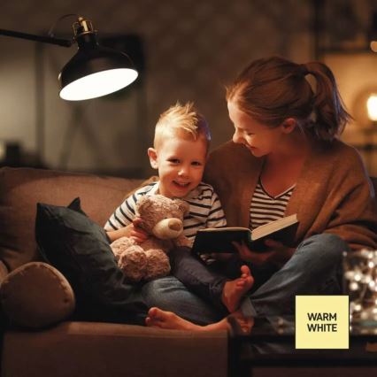 Lampadina LED dimmerabile A60 E27/10,5W/230V 2700K