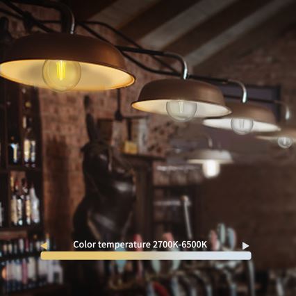 Lampadina LED dimmerabile FILAMENT G45 E27/4,5W/230V 2700-6500K Wi-Fi - Aigostar