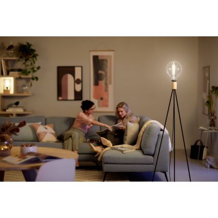 Lampadina LED dimmerabile Philips E27/6,5W/230V 3000K