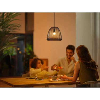 Lampadina LED dimmerabile Philips Hue WHITE AMBIANCE P45 E14/5,1W/230V 2200-6500K