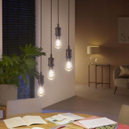 Lampadina LED Dimmerabile Philips Hue WHITE AMBIANCE ST64 E27/7W/230V 2200-4500K