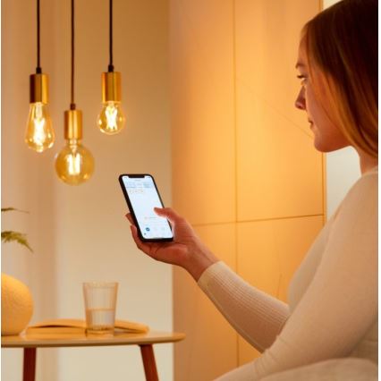 Lampadina LED dimmerabile VINTAGE FILAMENT A60 E27/6,7W/230V 2000-5000K CRI 90 Wi-Fi - WiZ