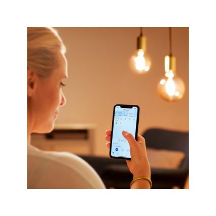 Lampadina LED dimmerabile VINTAGE FILAMENT G95 E27/6,7W/230V 2000-5000K CRI 90 Wi-Fi - WiZ