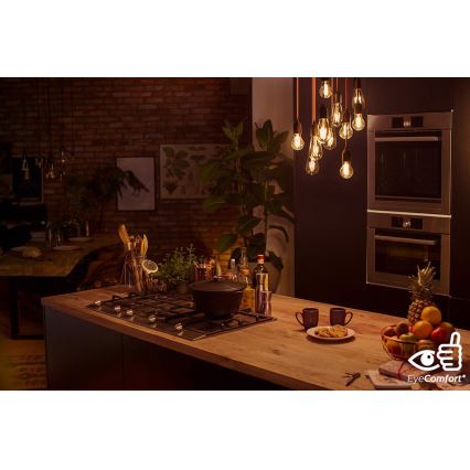 Lampadina LED dimmerabile VINTAGE Philips E27/6,7W/230V 2200K-2700K